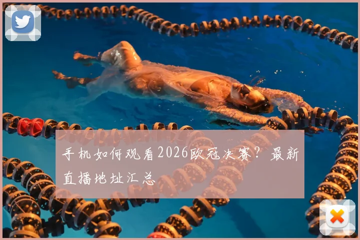 手机如何观看2026欧冠决赛？最新直播地址汇总