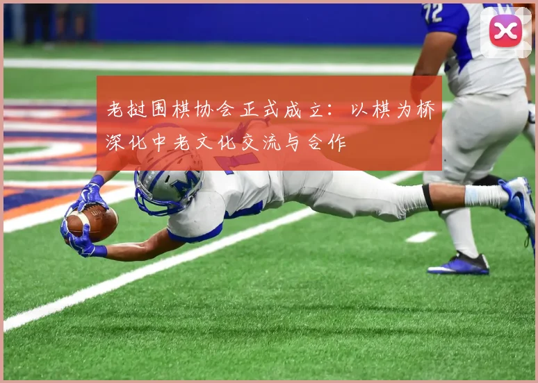 老挝围棋协会正式成立：以棋为桥深化中老文化交流与合作