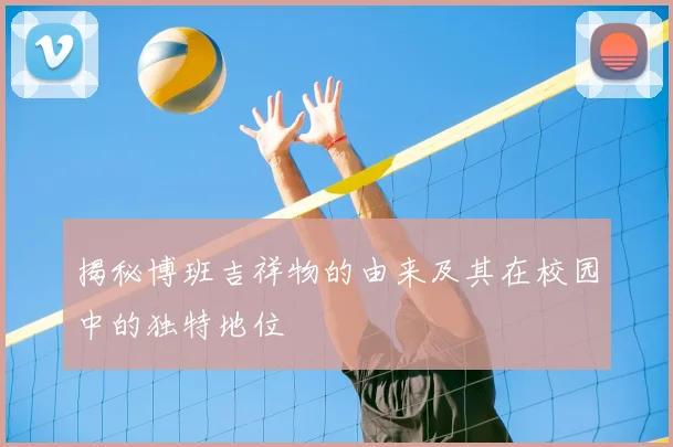 揭秘博班吉祥物的由来及其在校园中的独特地位